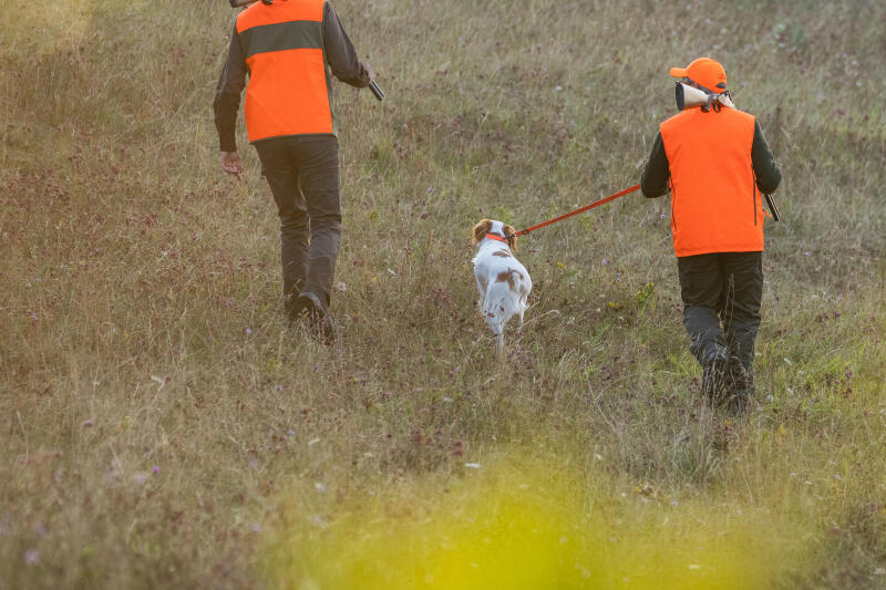 Kamizelka myśliwska Solognac Steppe 300 dwustronna fluo/zielona