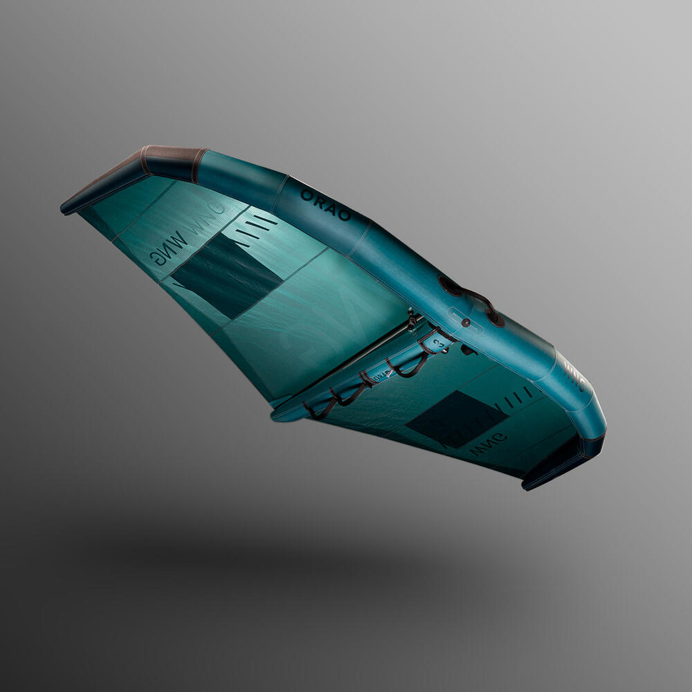 AILE DE WING 6M²