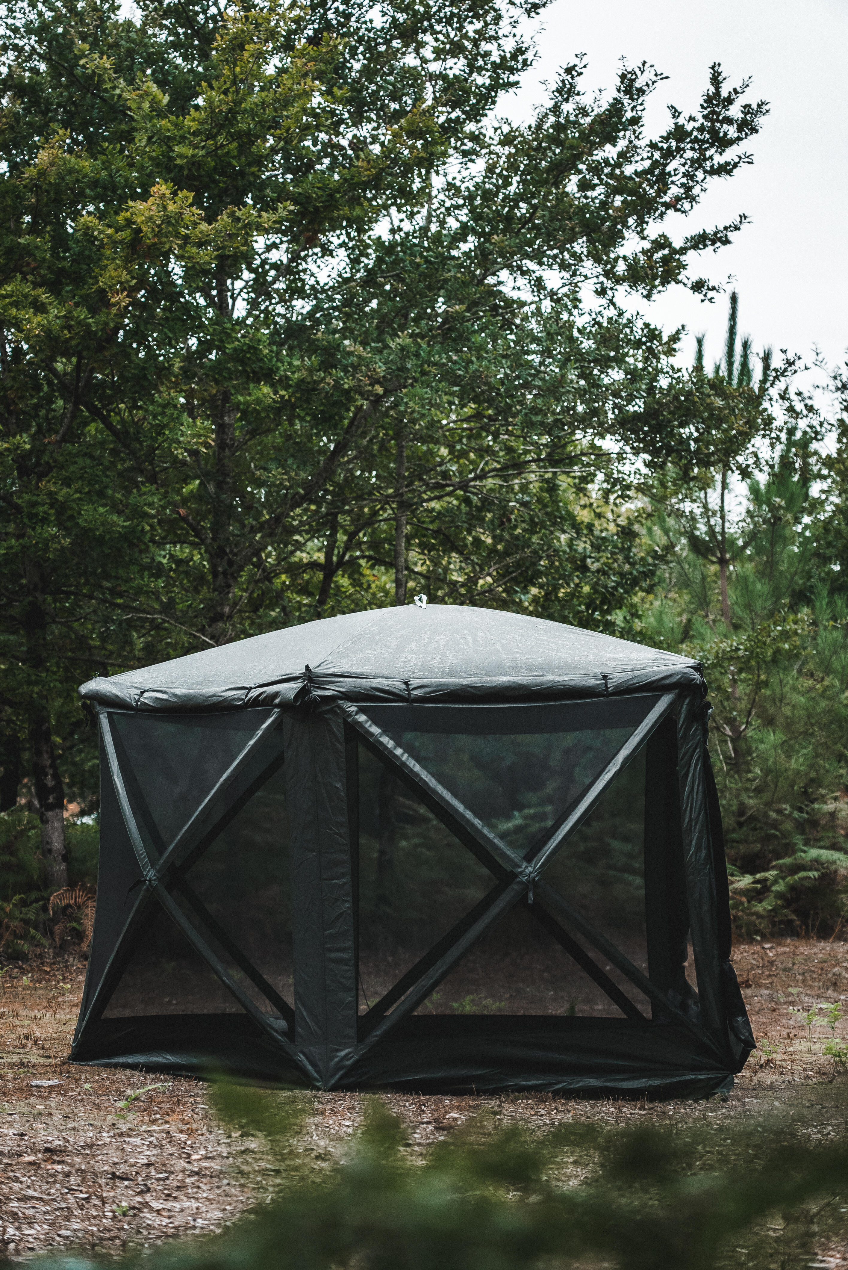 Social Bivvy XL Pêche de la carpe 24/26