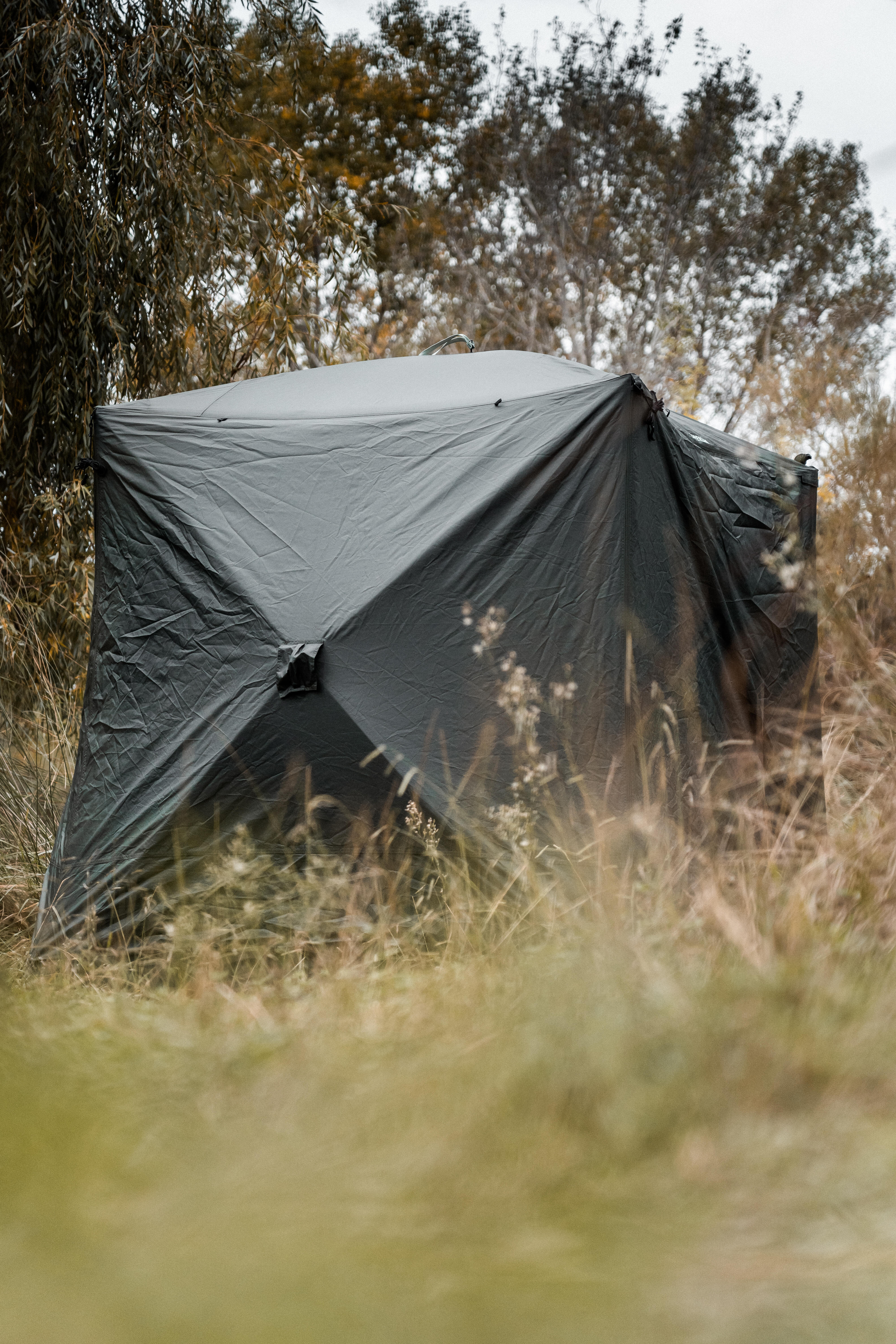 Social Bivvy L Carp fishing