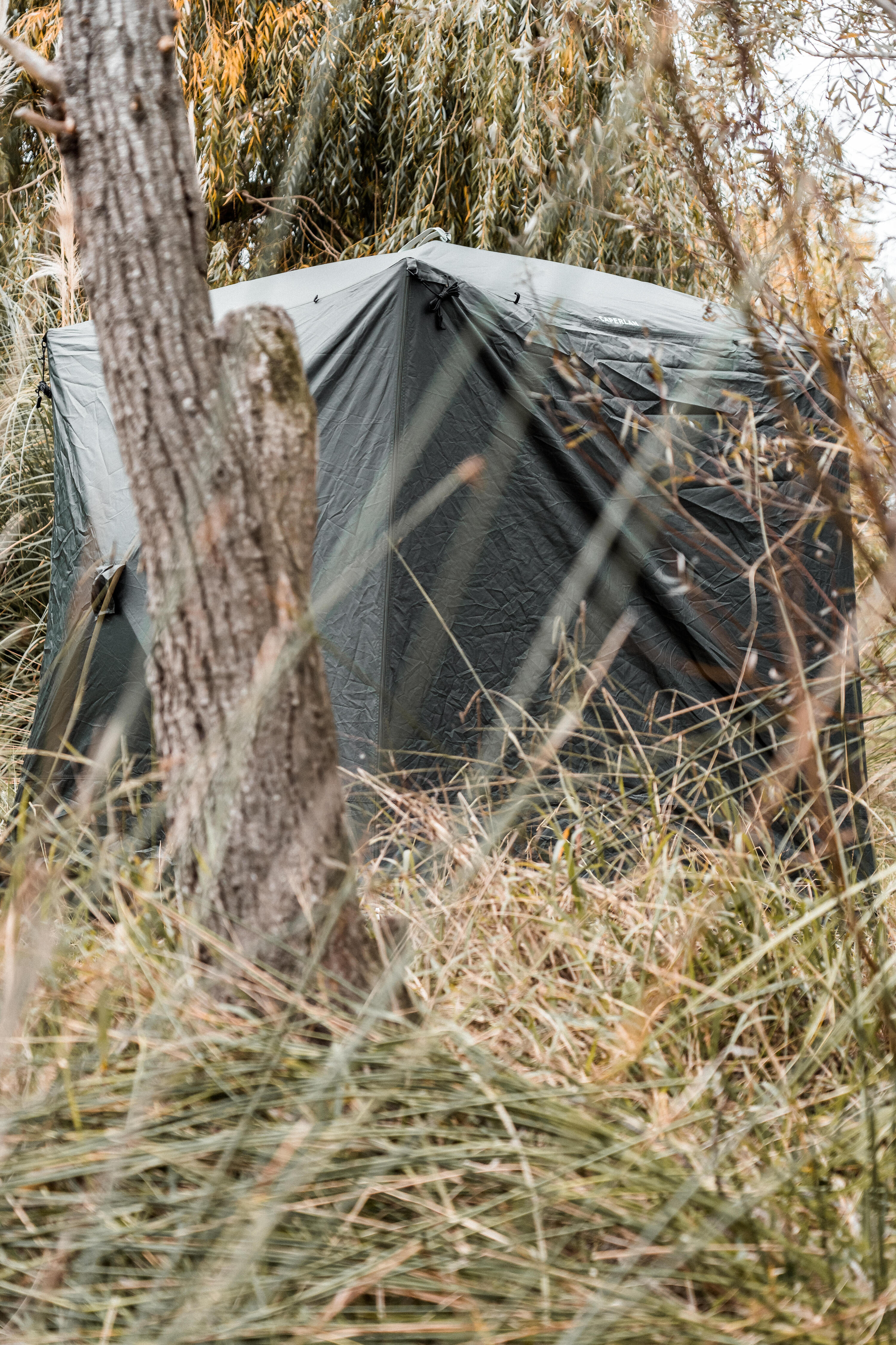 Social Bivvy XL Pêche de la carpe 23/26