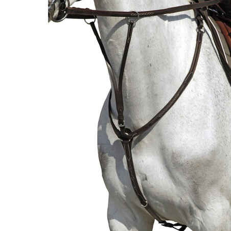 Нагръдник + мартингал за кон и пони ROMEO, кафяв