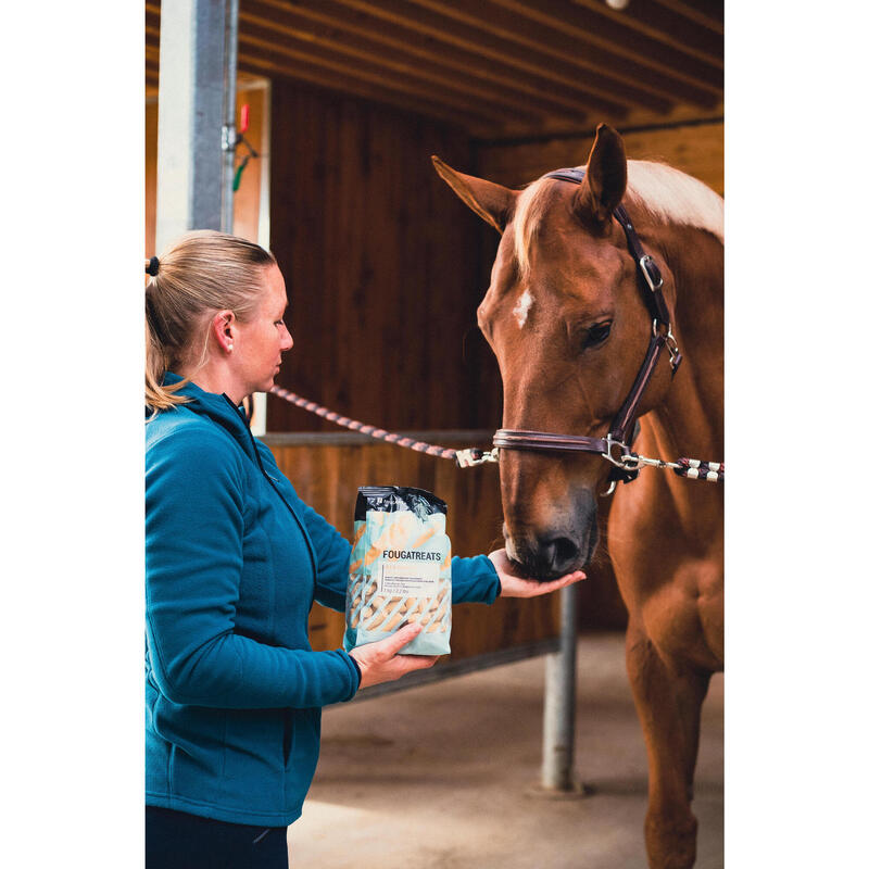 Snack equitazione pony e cavallo FOUGATREATS carota 1 kg