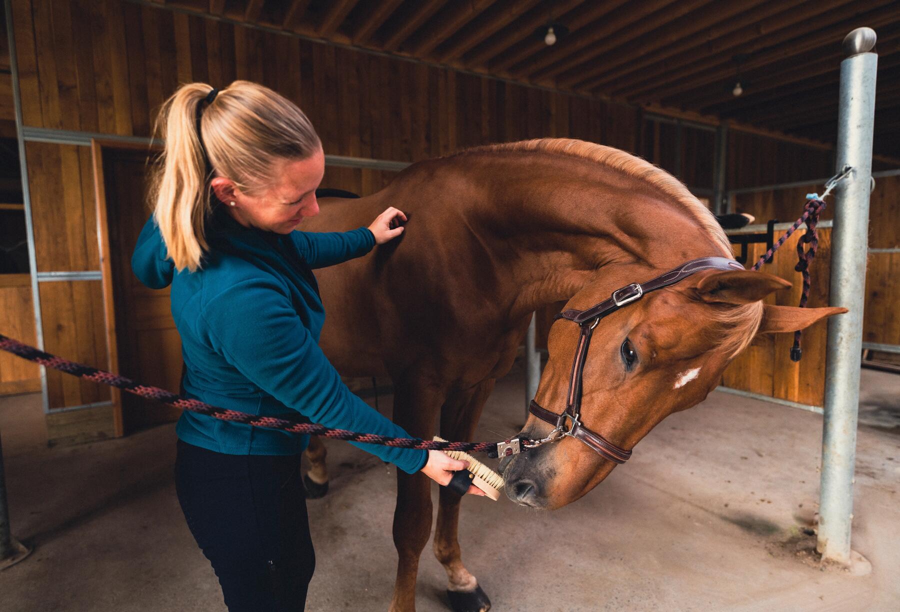 Come scegliere la testiera per il cavallo