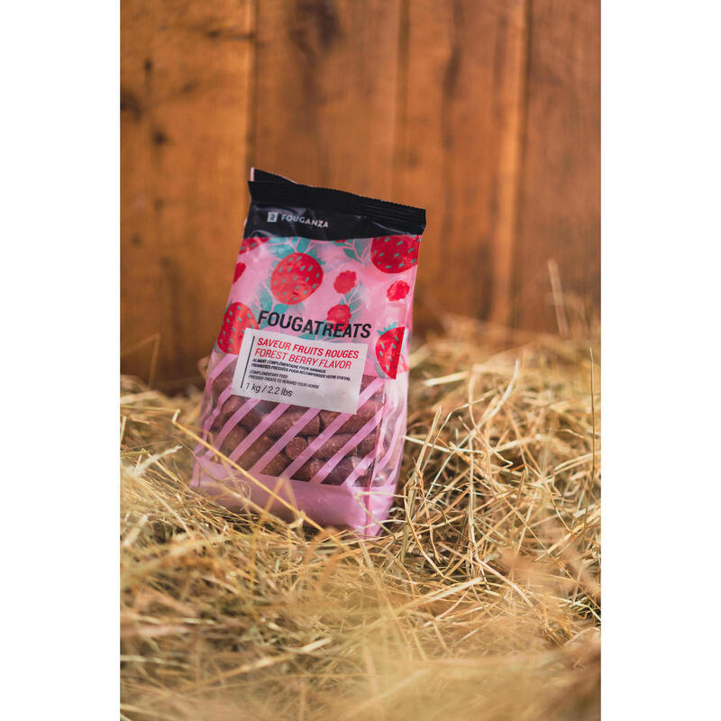 Leckerlis Rote Beeren Pferd/Pony - Fougatreats 1 kg