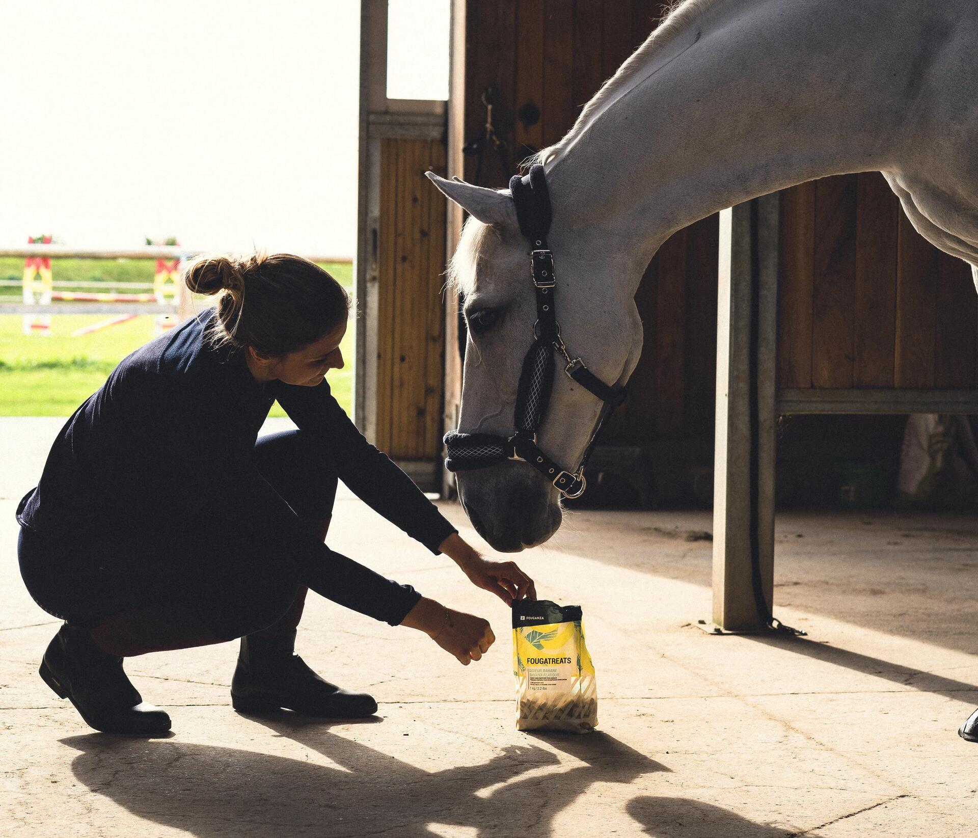 Deze paarden cadeaus zijn geschikt voor ruiters van elk niveau