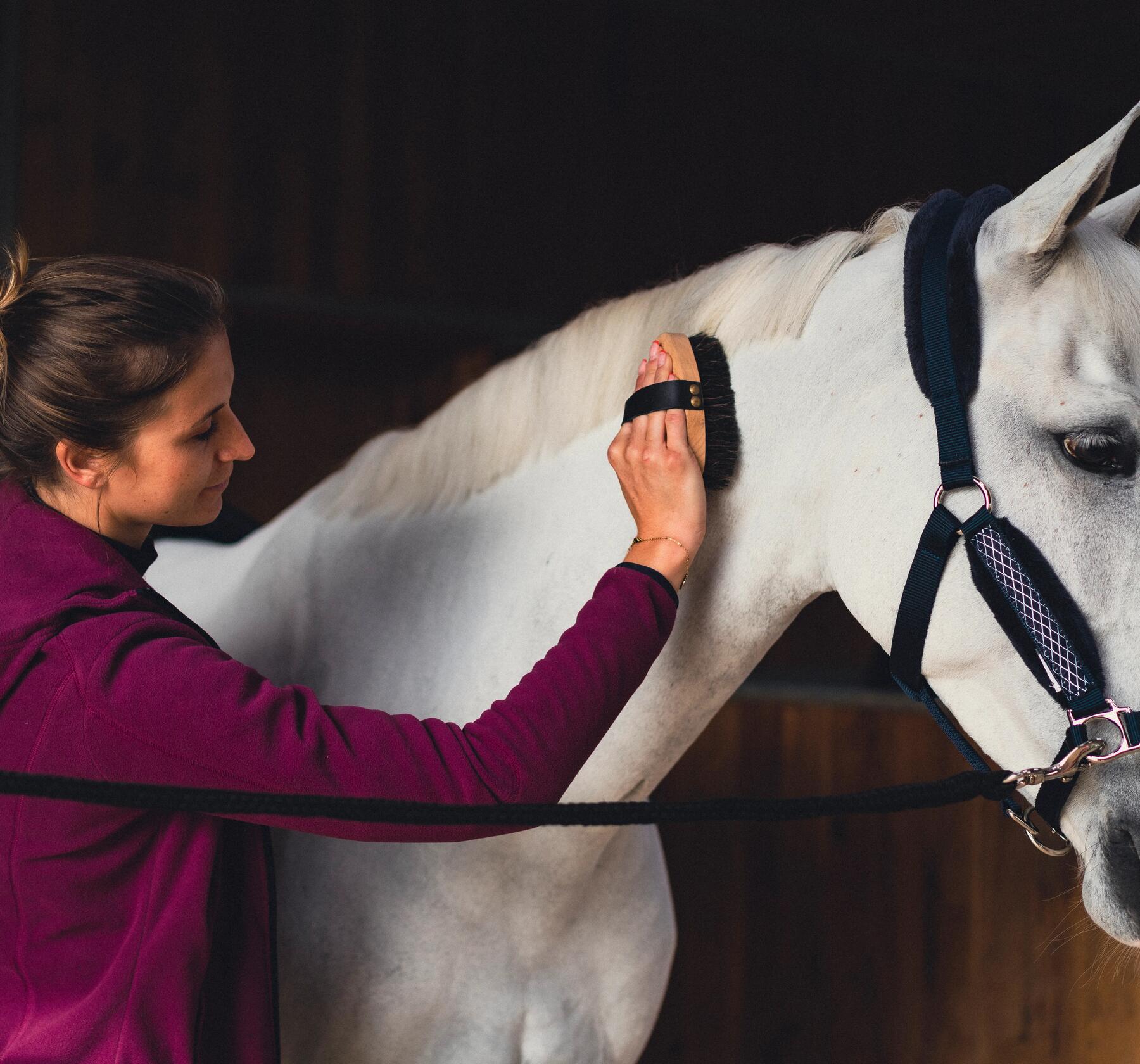A woman combing the mane of her white horse.