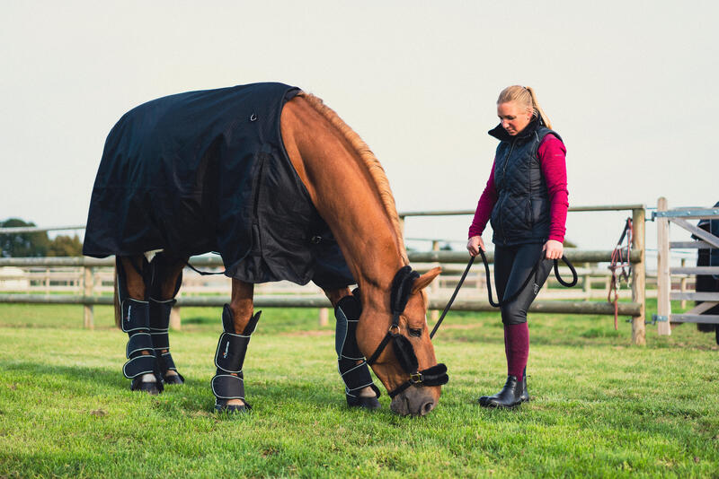 Come scegliere la coperta per il cavallo