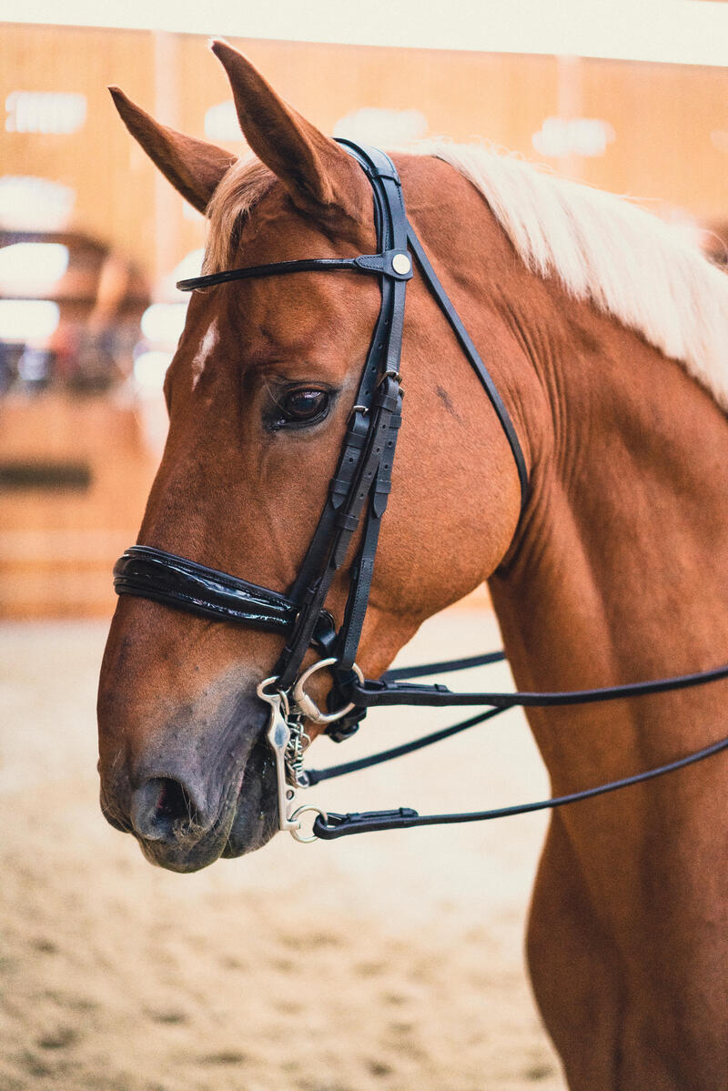 Bride de dressage équitation Cheval et Poney - 900 noire