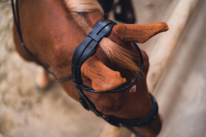 Bride de dressage équitation Cheval et Poney - 900 noire