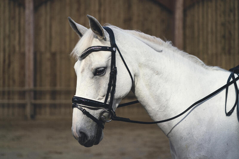Come scegliere la testiera per il cavallo