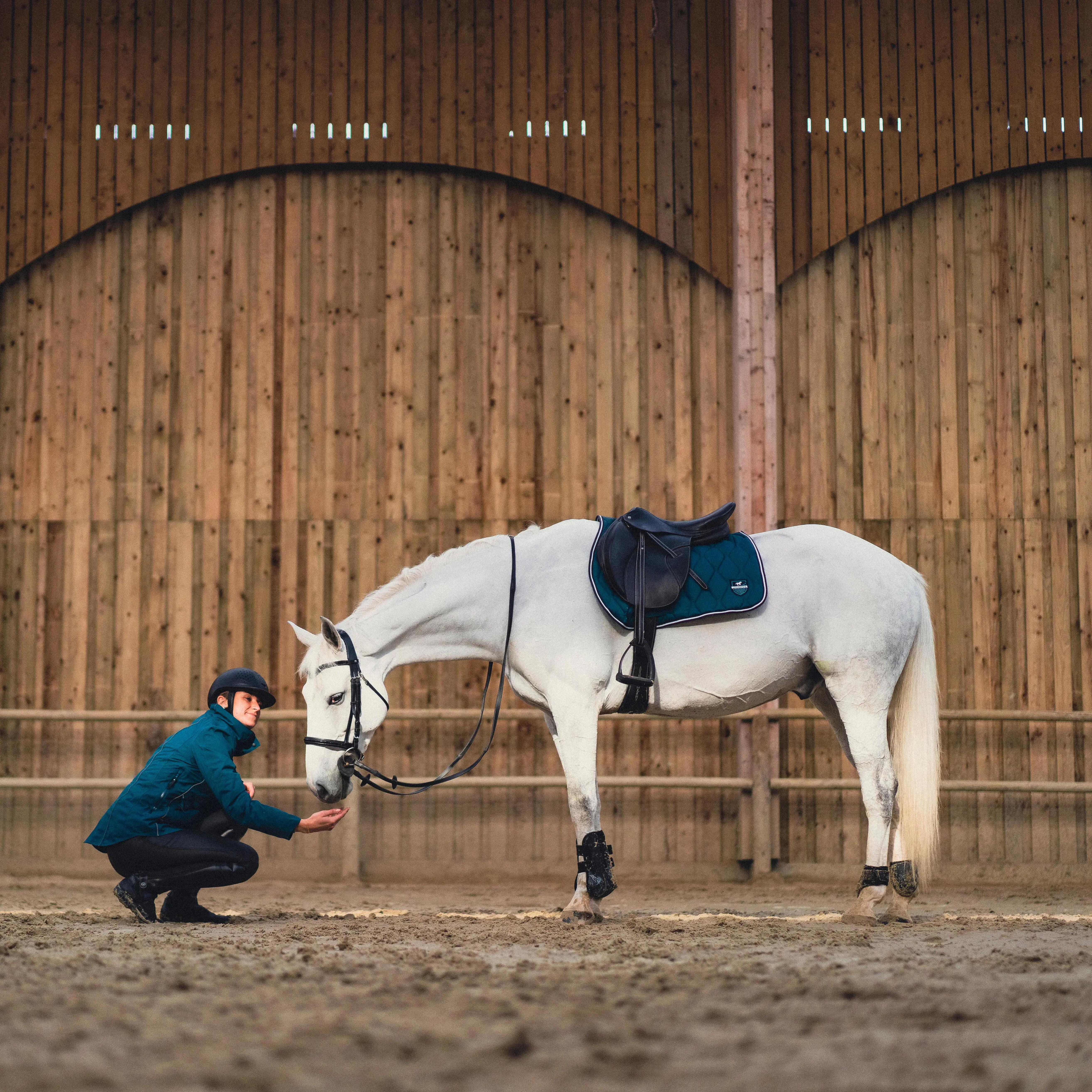 equipamiento para caballo
