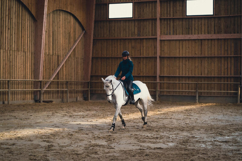 Come scegliere le protezioni degli arti del cavallo