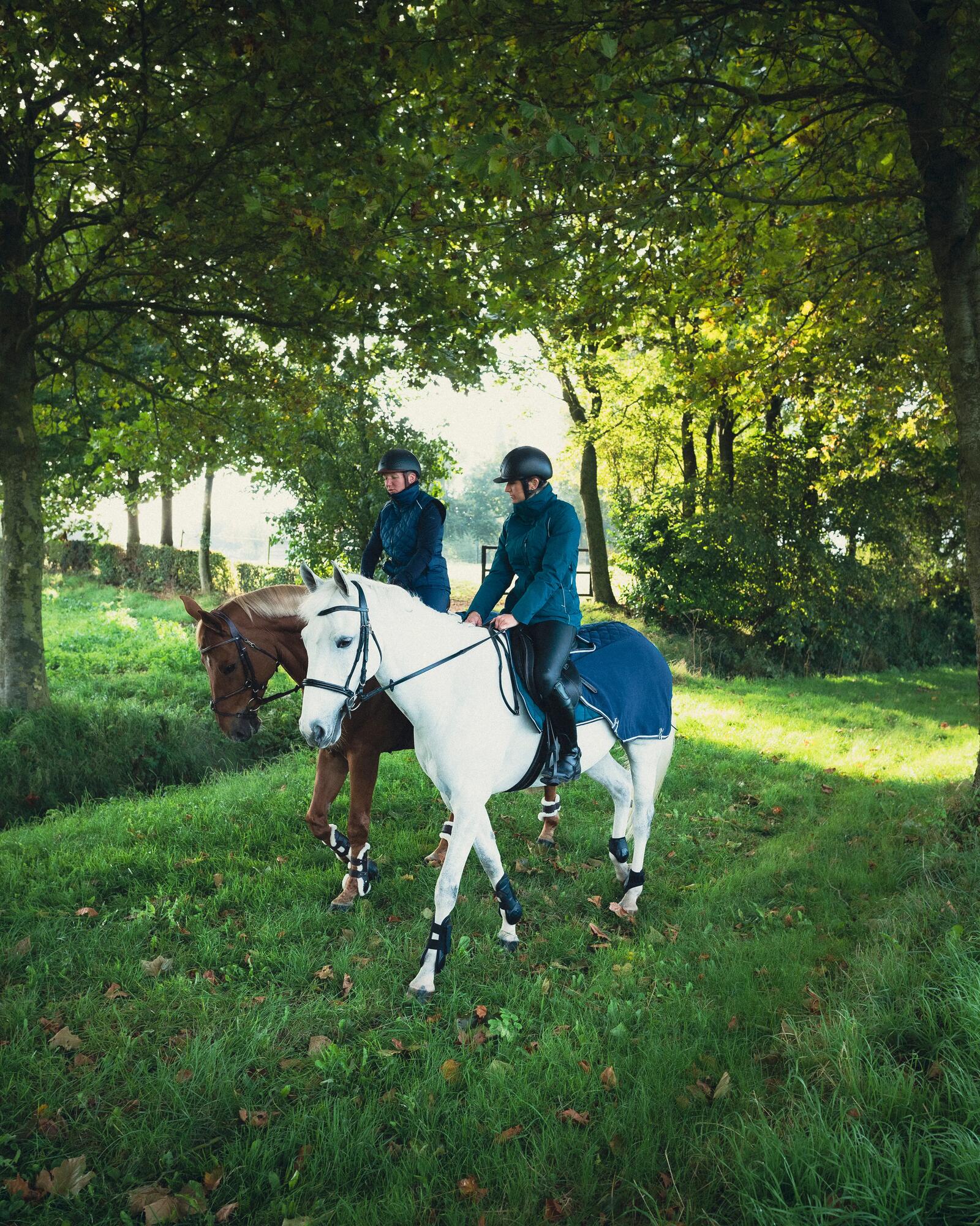 Coprireni cavallo