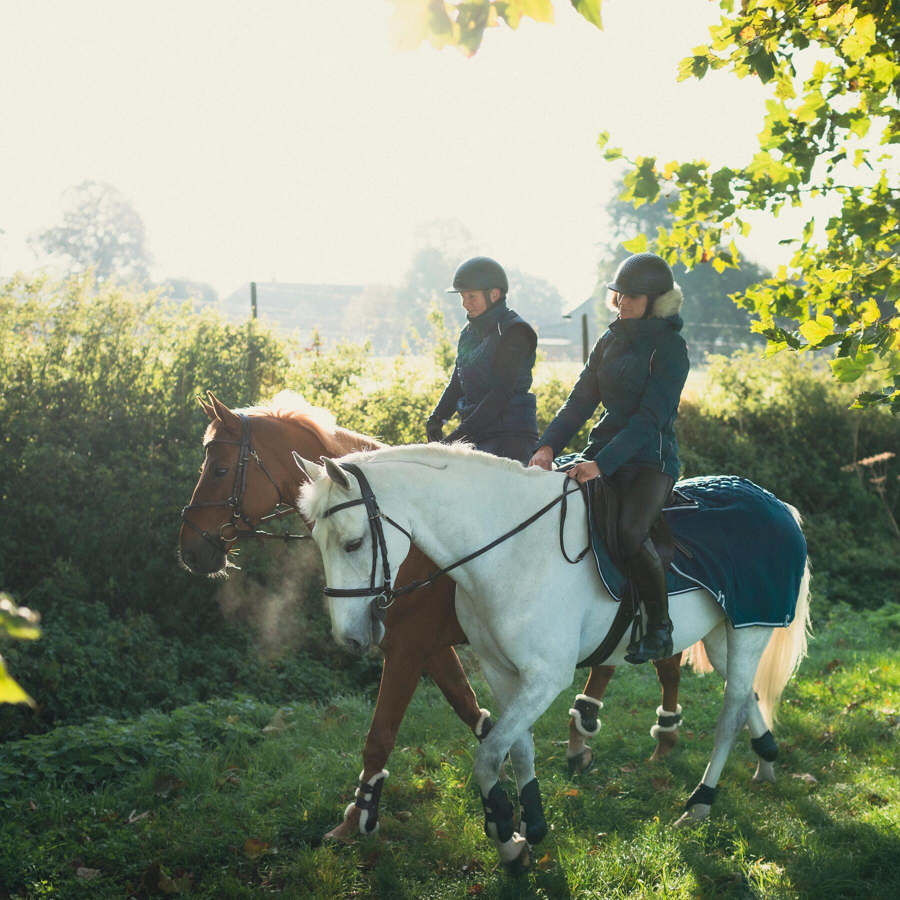 Alles over een buitenrit maken met je paard
