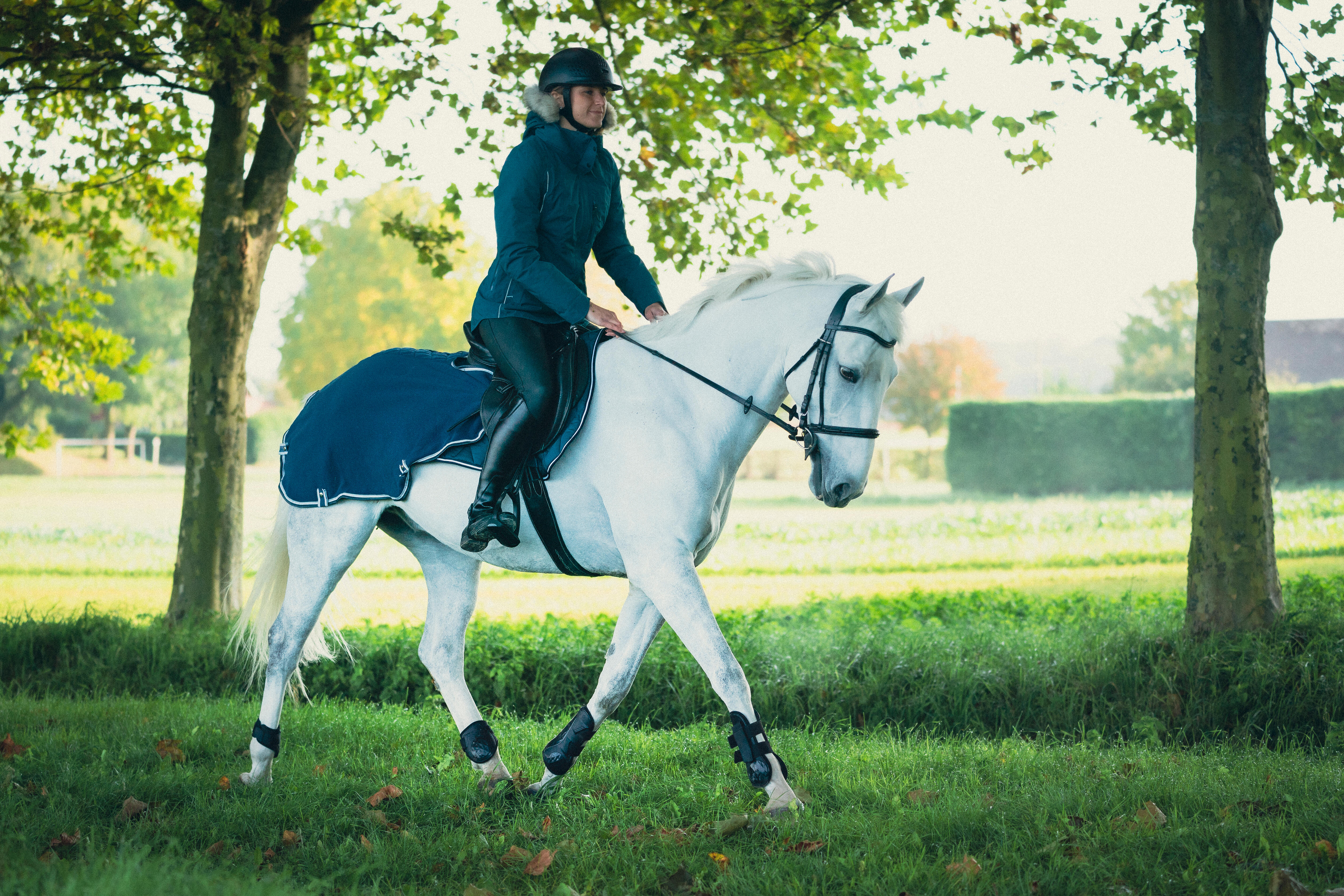Protège-boulets pour cheval x2 - 500 noir - FOUGANZA