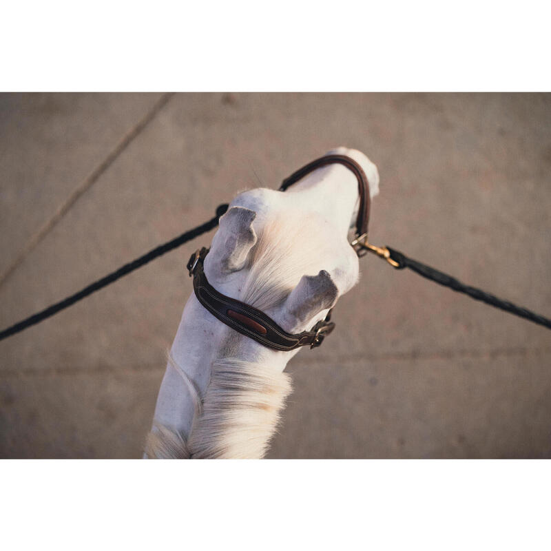 Licol cuir équitation Cheval et poney - 900 marron