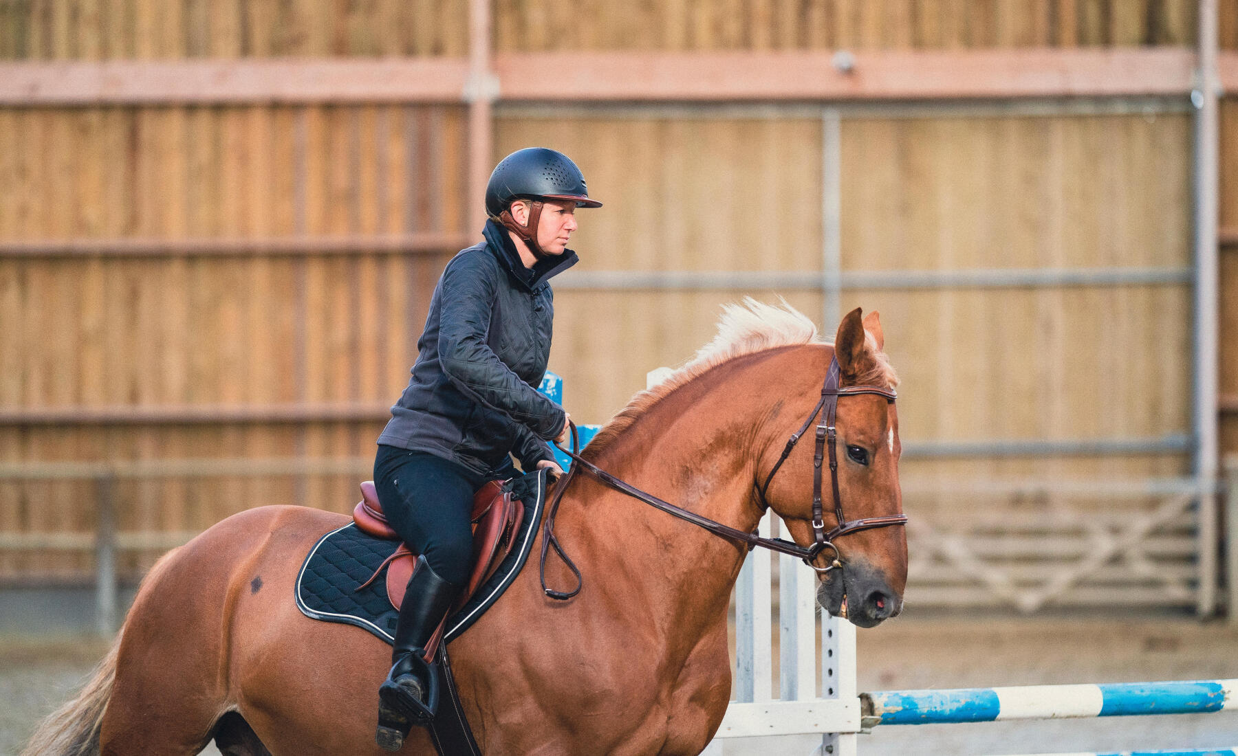 Come scegliere le ghette equitazione