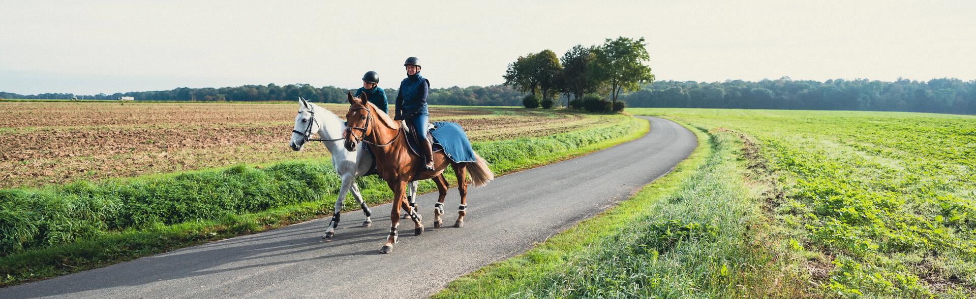 Alles over een buitenrit maken met je paard