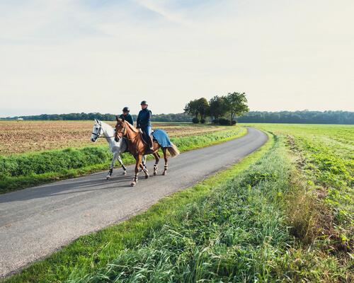 Alles over een buitenrit maken met je paard