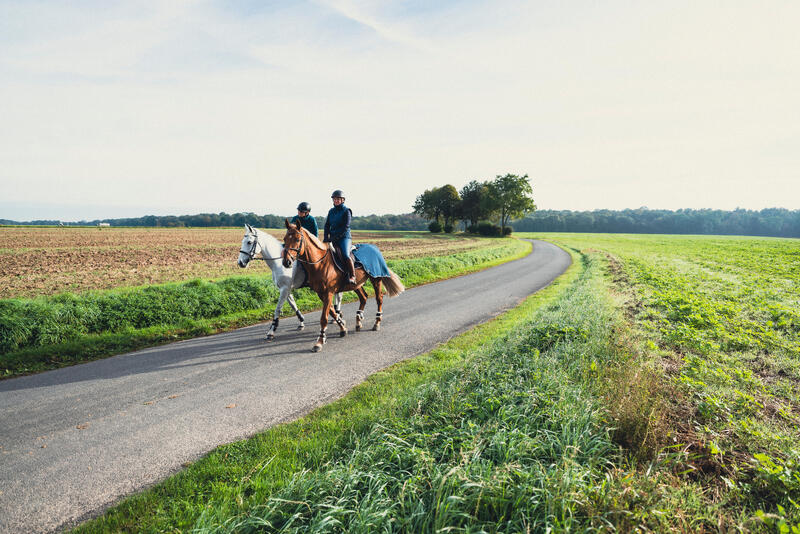 Alles over een buitenrit maken met je paard