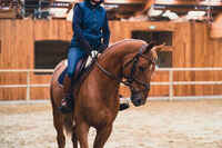 500 Adult Horse Riding Jodhpur Boots - Brown