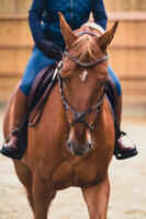 500 Adult Horse Riding Jodhpur Boots - Brown