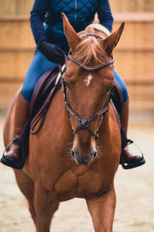 500 Adult Horse Riding Jodhpur Boots - Brown