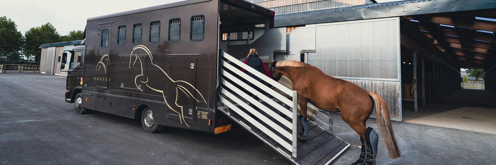 Equiper son cheval pour le transport en van ou camion