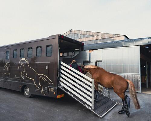 Cheval sortant de l'écurie qui s'apprête à monter en van