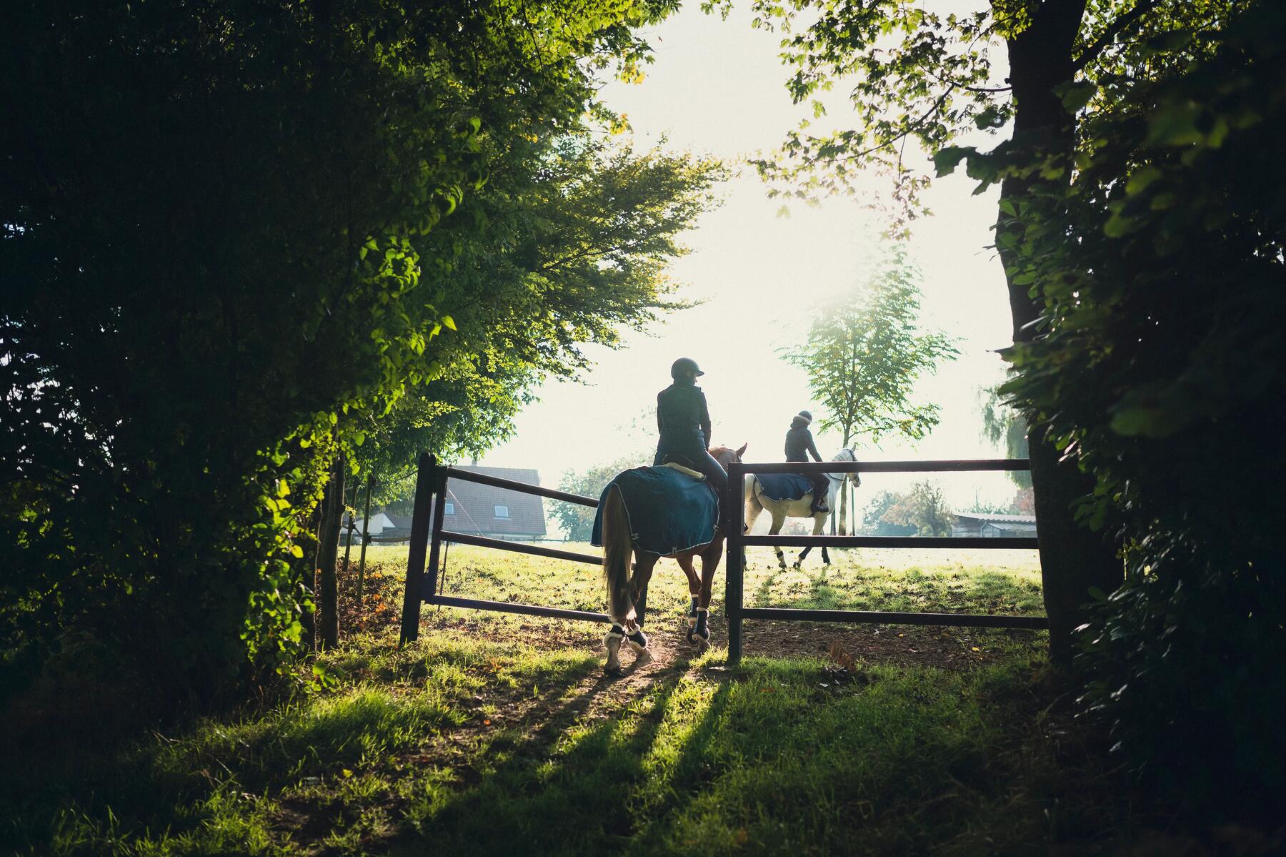 Alles over een buitenrit maken met je paard