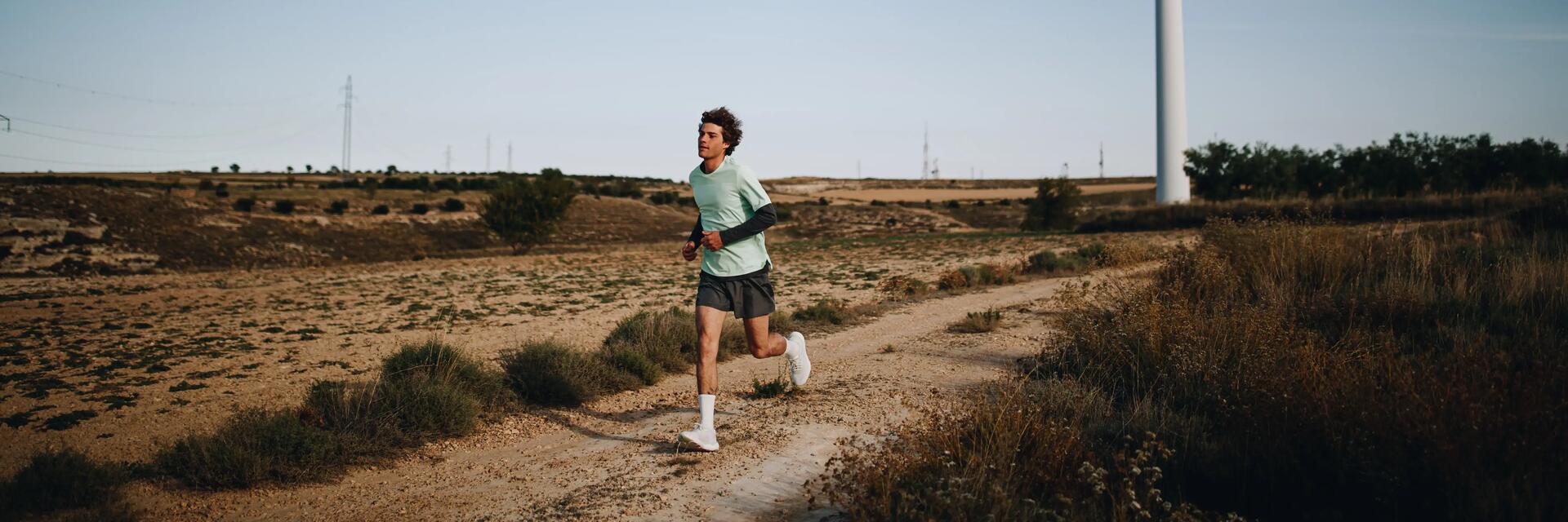 Welche Muskeln werden bei einem Lauf beansprucht?