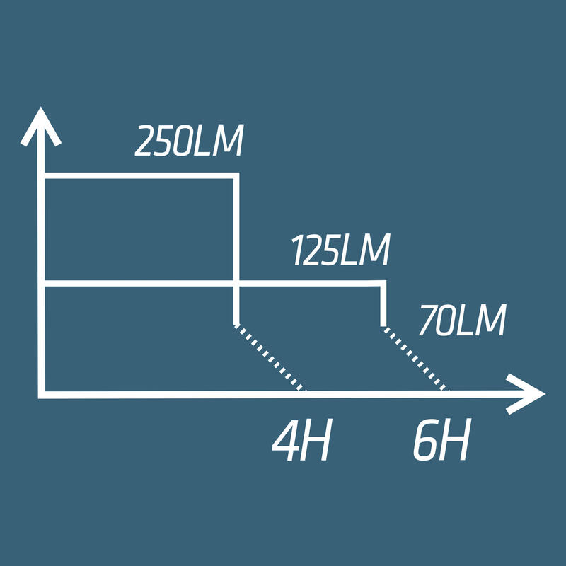 Borstlamp voor hardlopen Run Light 250 HW19 zwart