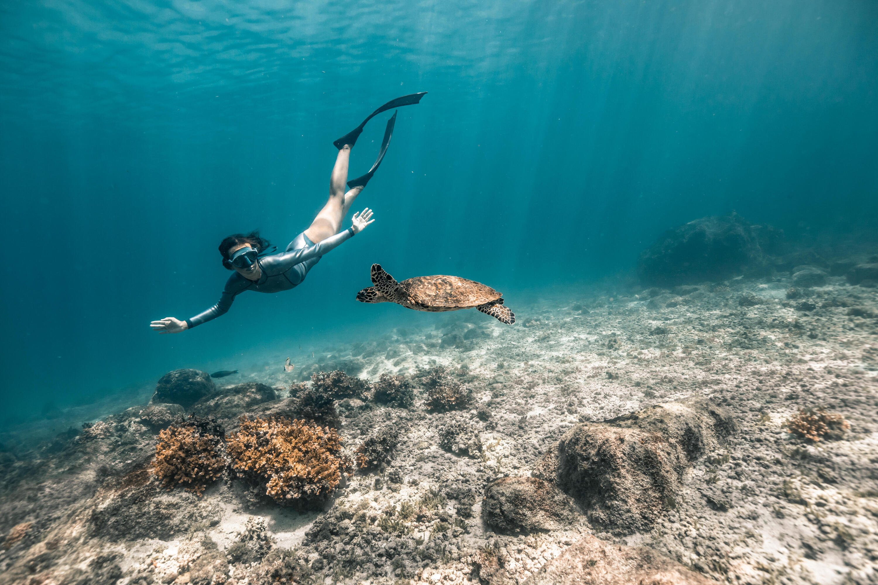 snorkeling