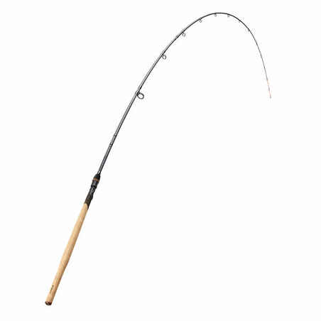 Karpių žvejybos dugninė meškerė „Sensitiv -500 Carp“, 40–100 g, 3,60 m