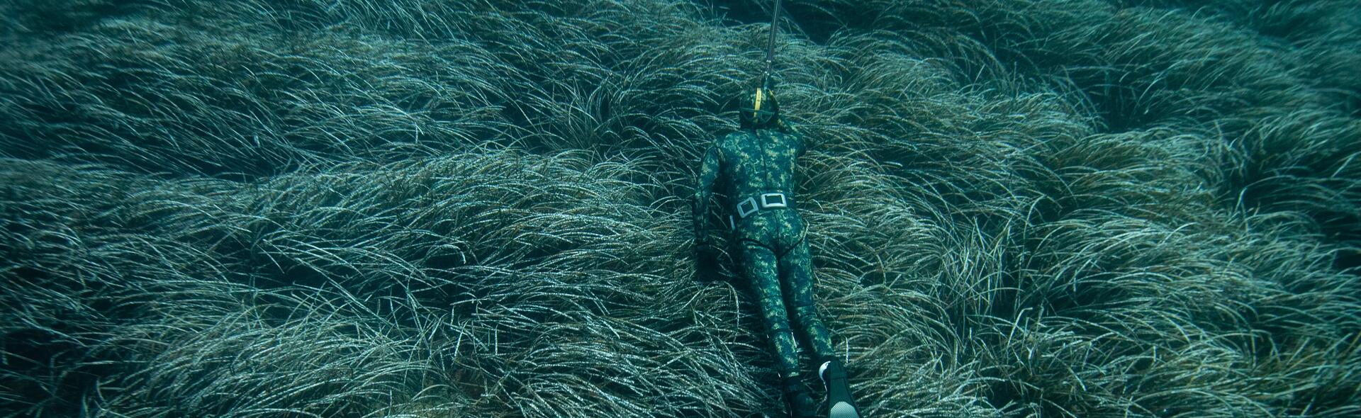 S'équiper pour la Chasse sous-marine