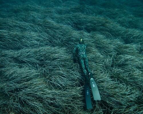 S'équiper pour la Chasse sous-marine