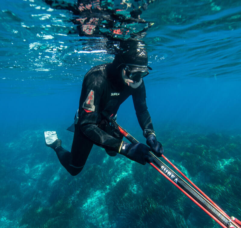 conseil changer tête arbalète chasse sous marine subea