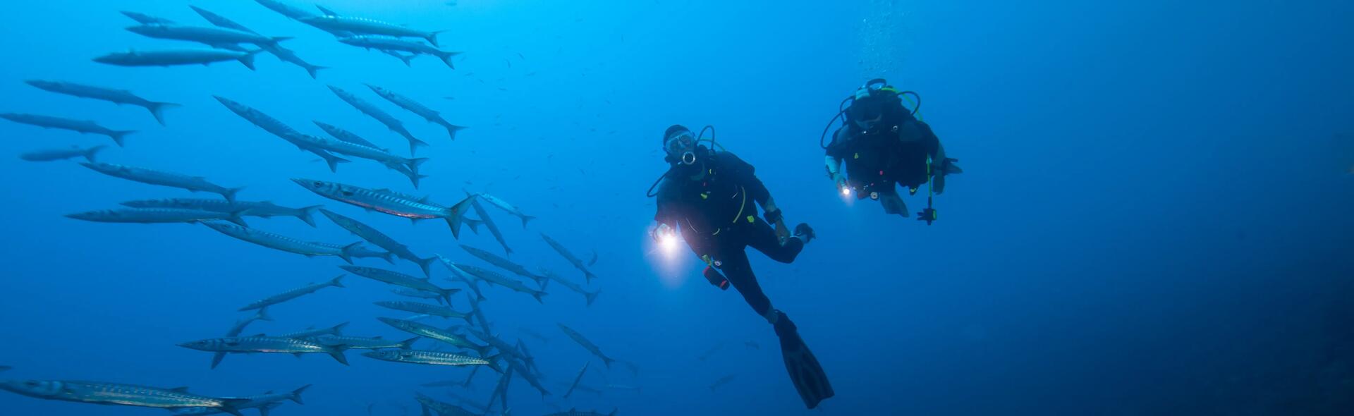 conseil avantages affiliation club plongée sous marine subea 