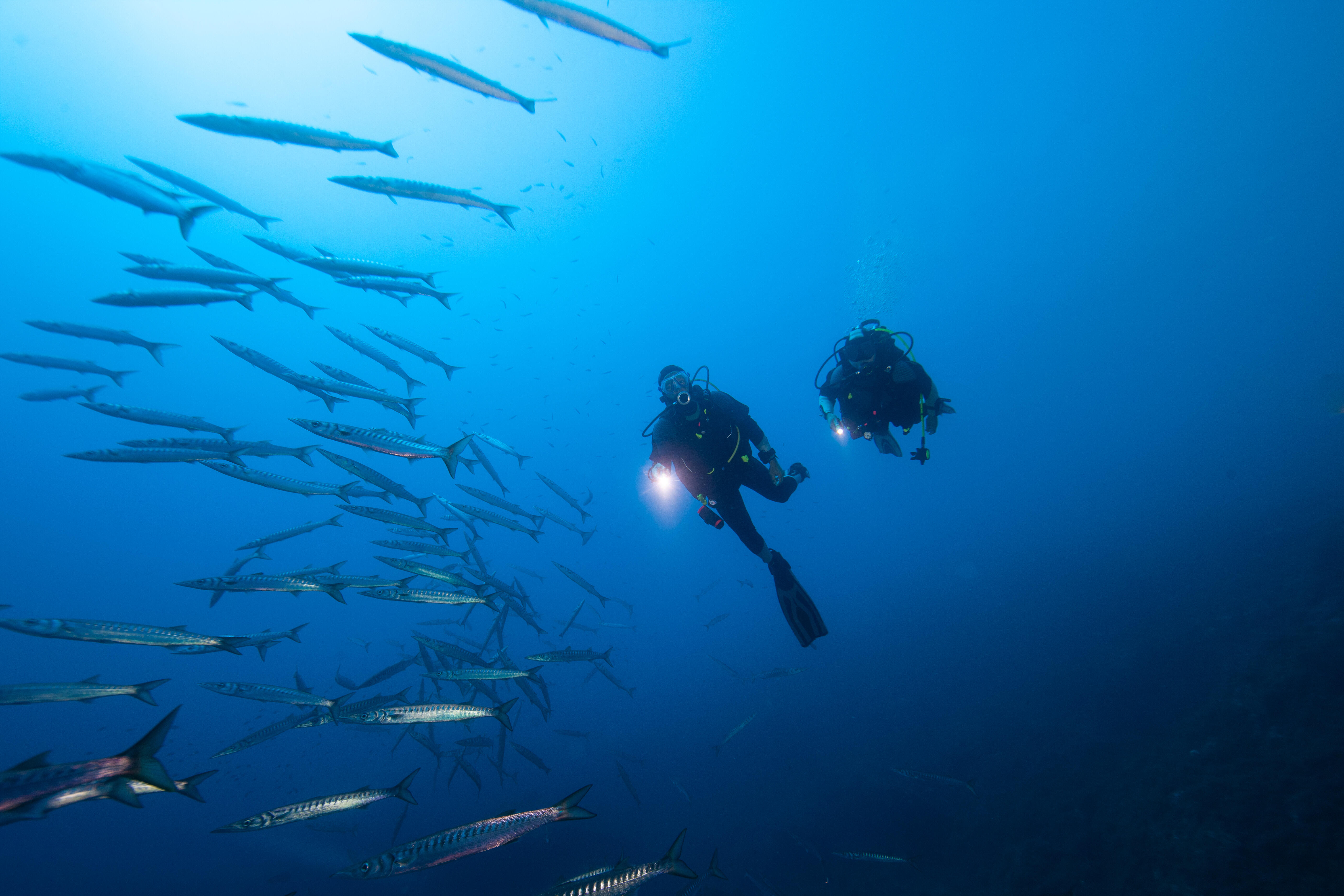 Buceo con propulsor acuático en Menorca con silla de ruedas