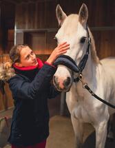 Licol équitation