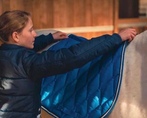 Alt/cc tanner choisir son tapis