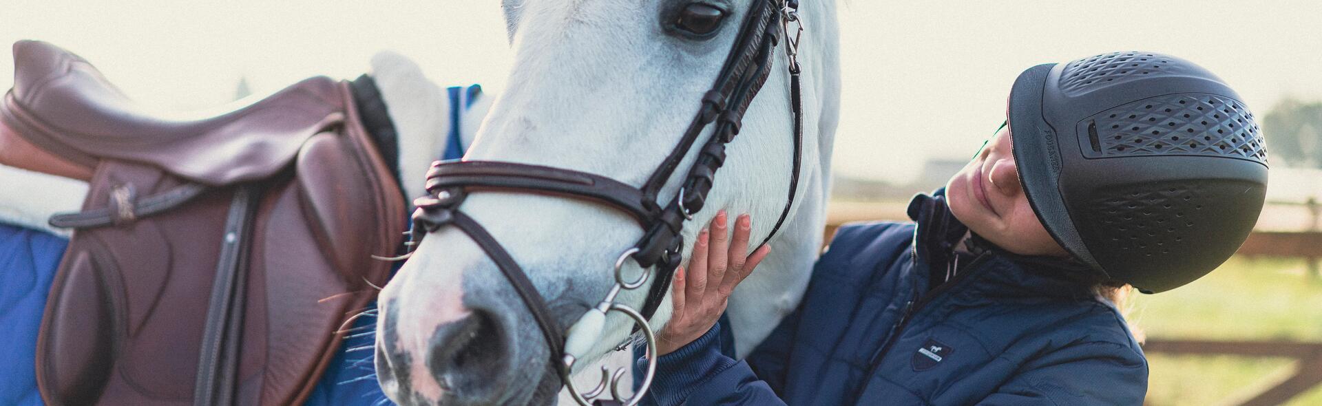 Welke soorten bitten zijn er en welke past bij jouw paard?