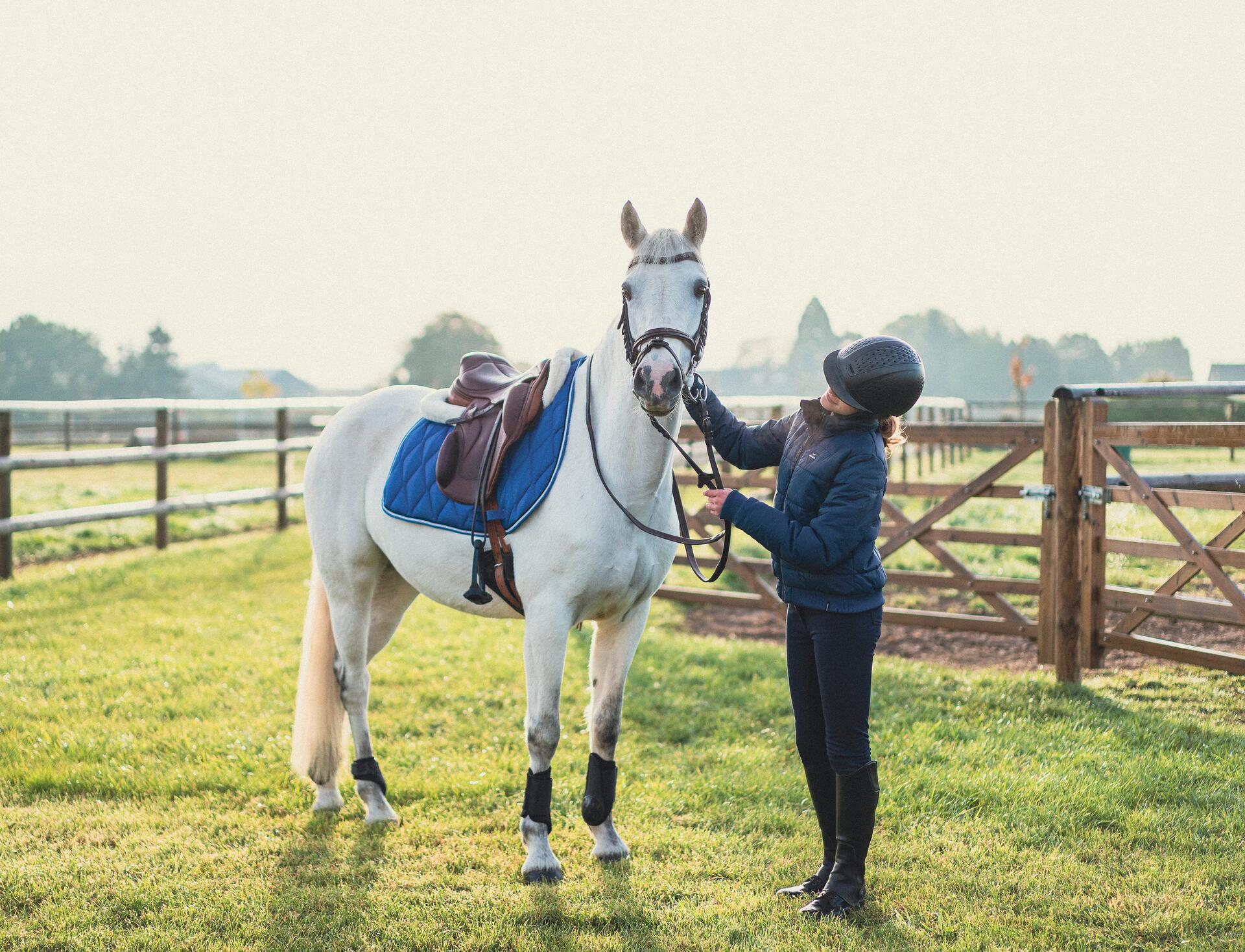 Hoe kies je de juiste beenbescherming voor je paard? 