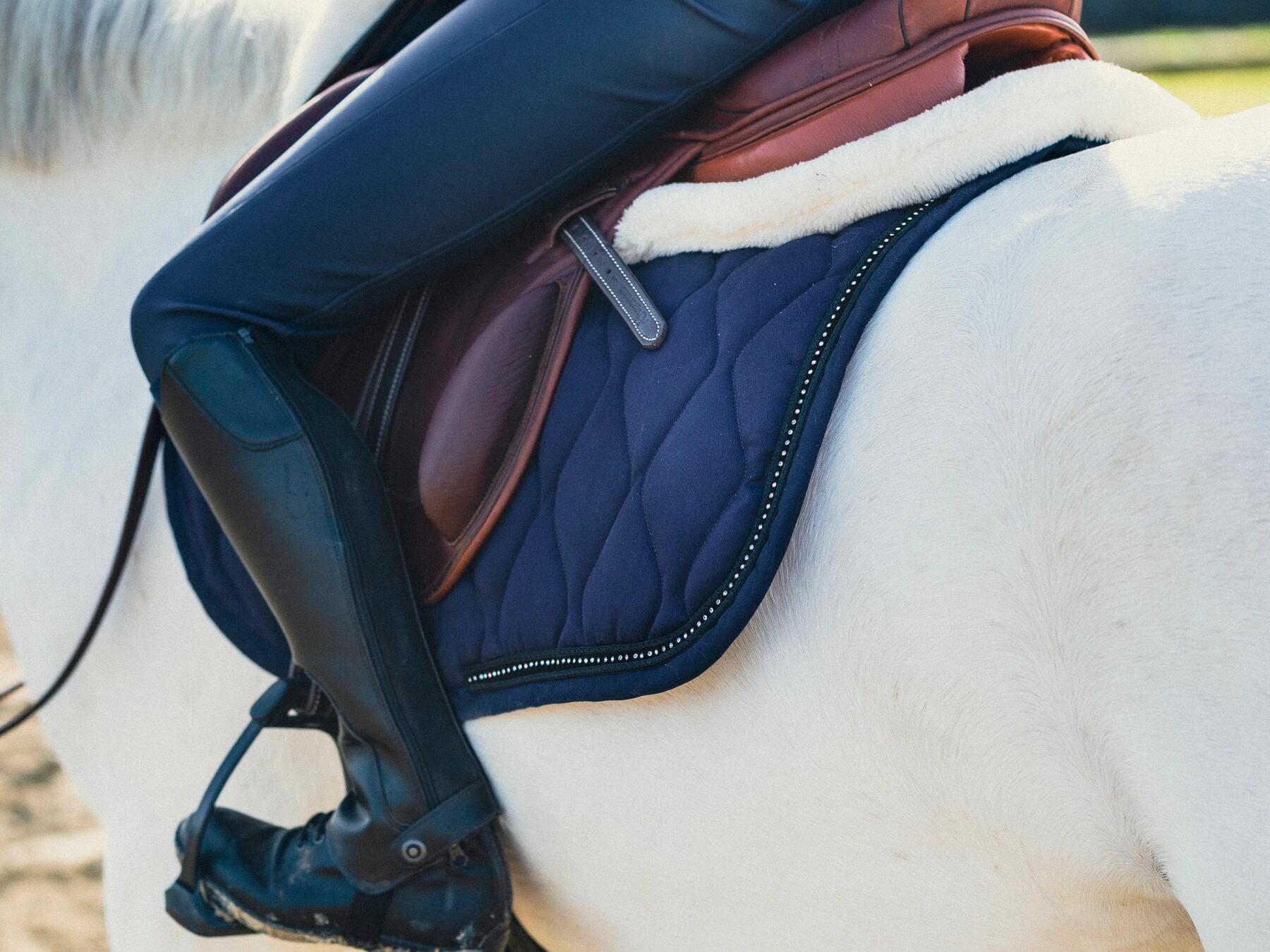 Equitation cross-country : les équipements à prévoir pour protéger le  cavalier et son cheval