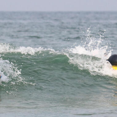 starting bodyboarding