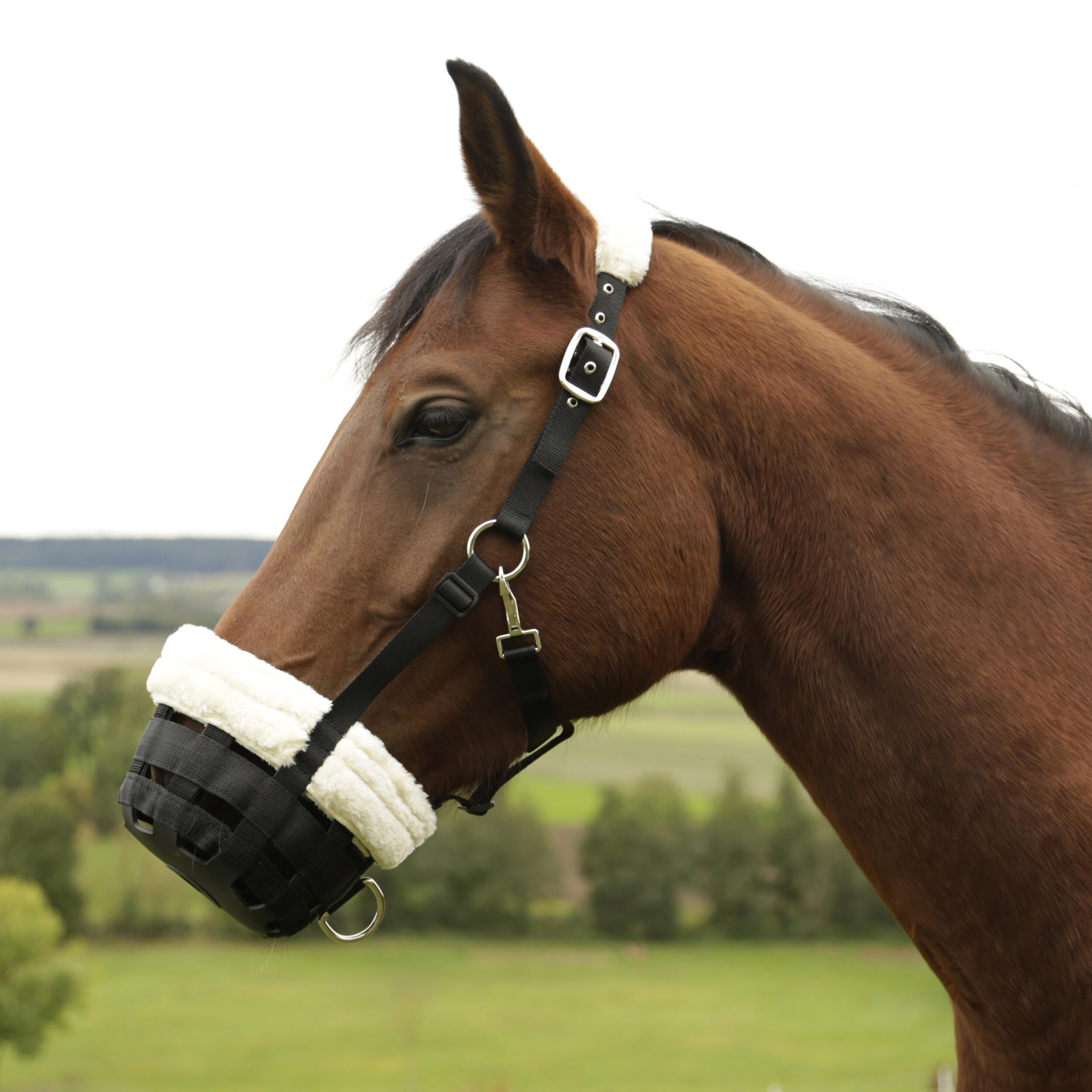 Anti-Colic Horse Muzzle - Black 1/2