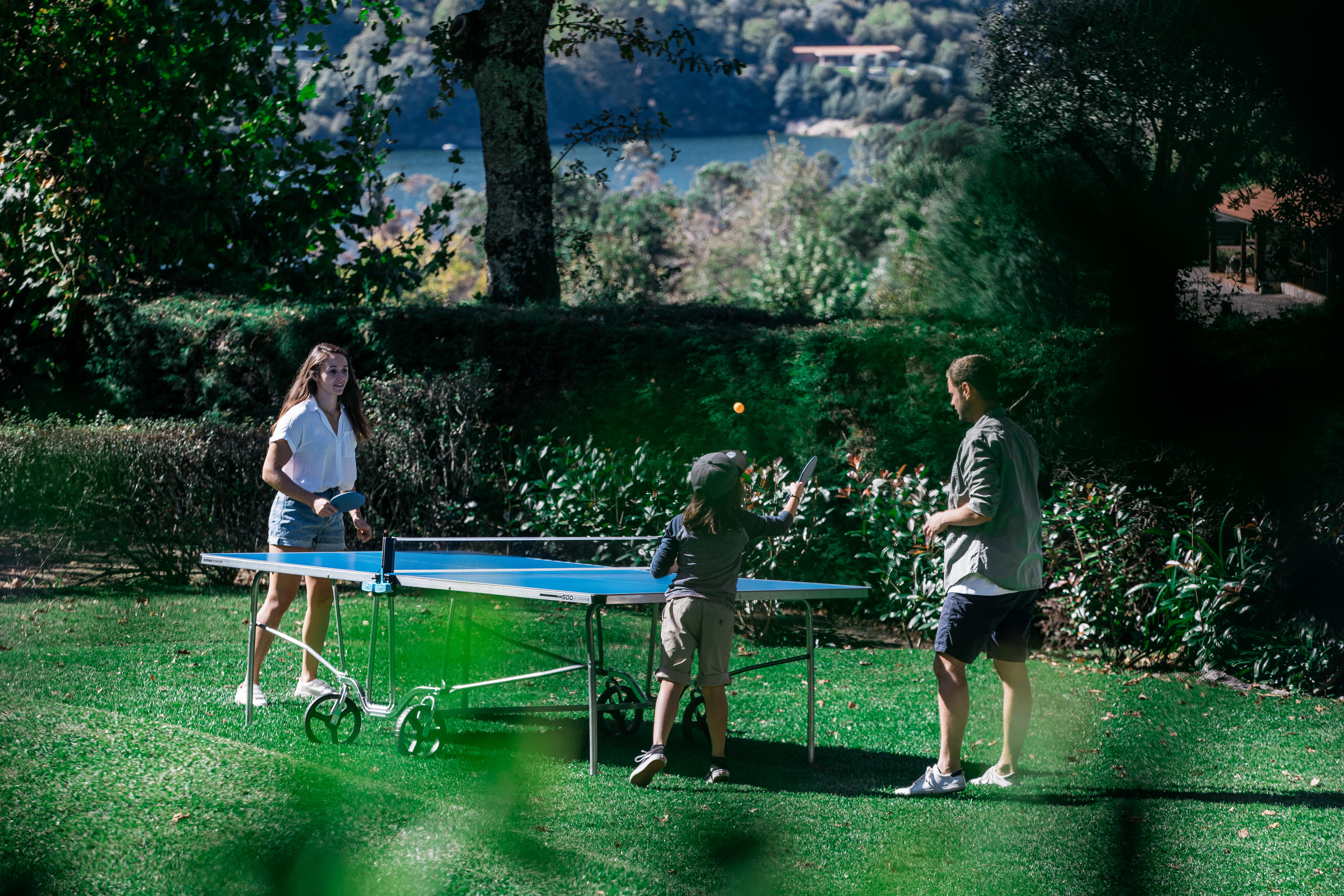 Table Tennis Table Outdoor - PPT 500.2 Blue - PONGORI