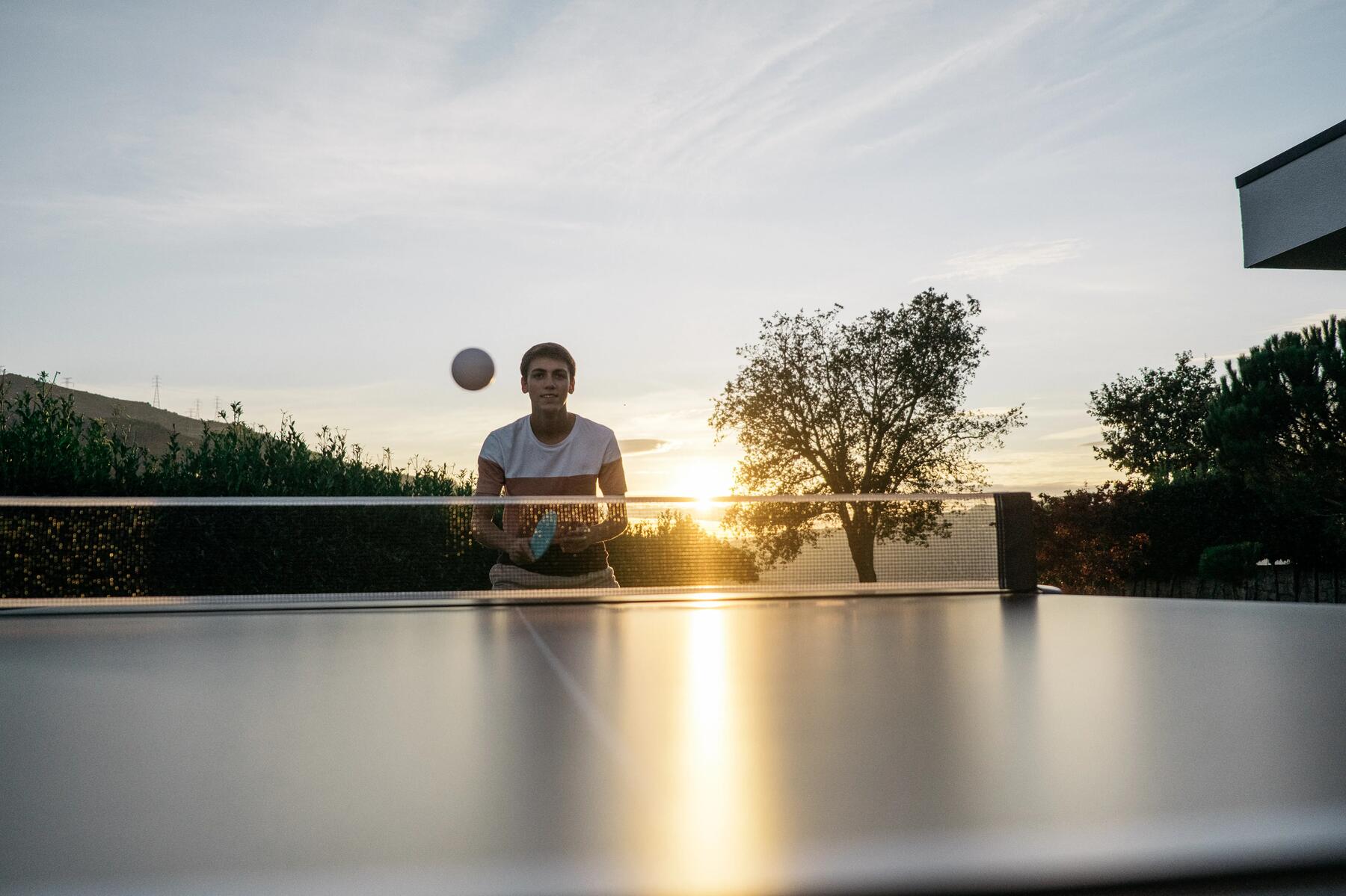 histoire du tennis de table