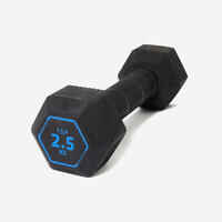 2.5 kg Cross Training and Weight Training Hexagonal Dumbbell - Black